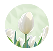 시즌메뉴
